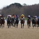 Today on Sky Sports Racing: Fontwell, Lingfield and Newcastle | Racing News | Latest Sports News