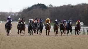 Today on Sky Sports Racing: Fontwell, Lingfield and Newcastle | Racing News | Latest Sports News
