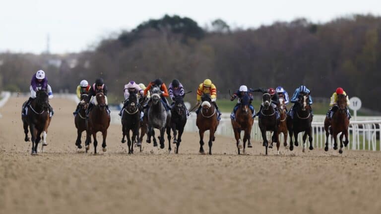 Today on Sky Sports Racing: Fontwell, Lingfield and Newcastle | Racing News | Latest Sports News