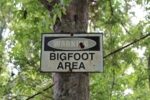 Has Bigfoot Finally Been Debunked? – Business News, Markets & Economy