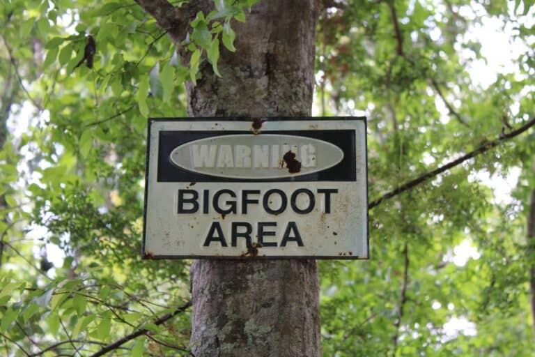 Has Bigfoot Finally Been Debunked? – Business News, Markets & Economy