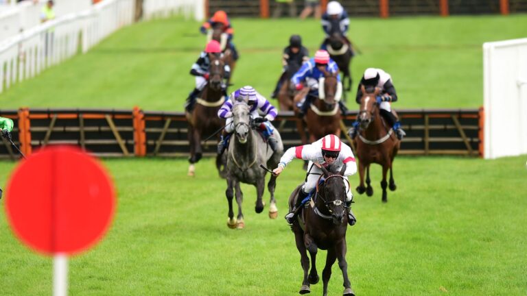 Today on Sky Sports Racing: Newton Abbot and Wolverhampton feature live on Saturday | Racing News | Latest Sports News