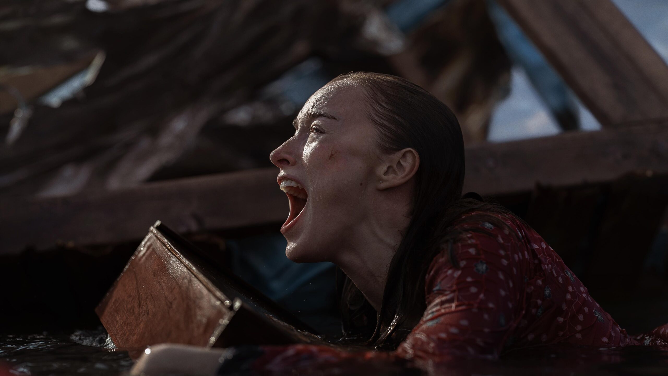 Netflix Shark Thriller Thrash Doesn’t Know What Kind of Creature Feature It Wants to Be-Breaking News, Latest Updates
