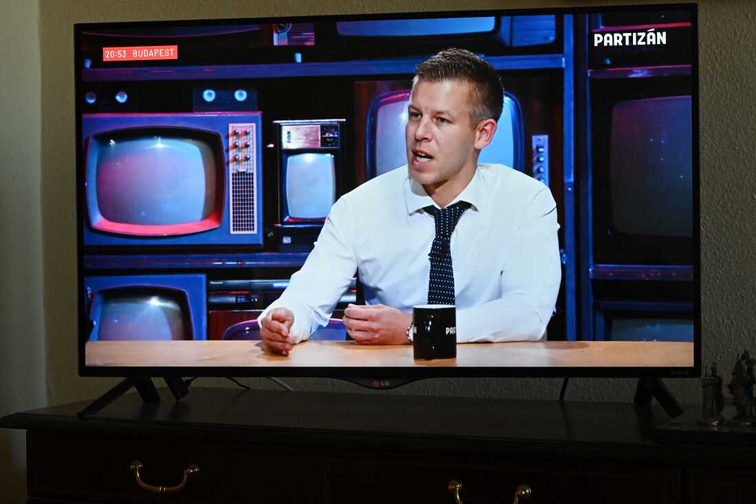 Peter Magyar burst onto the scene as a government whistleblower in a live-streamed interview with online TV channel Partizan in February 2024, which has garnered millions of views.