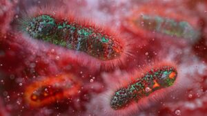 A Diarrhea-Causing Superbug Is on the Rise, Health Officials Warn – Latest Technology News & Trends