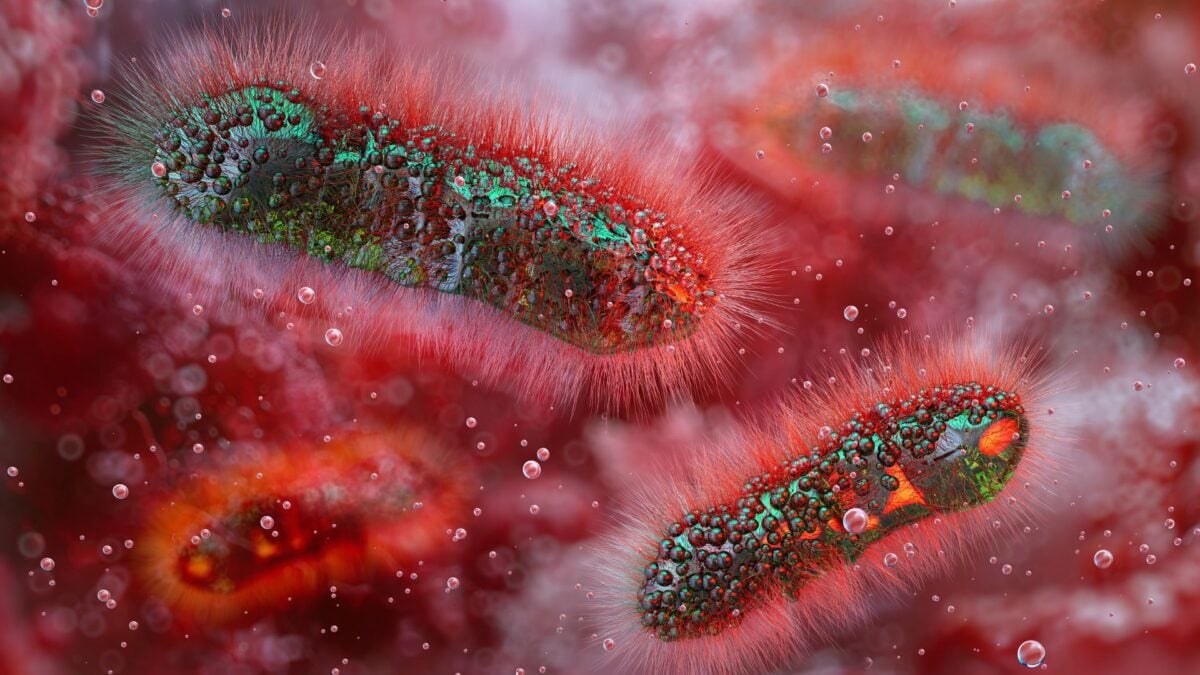 A Diarrhea-Causing Superbug Is on the Rise, Health Officials Warn – Latest Technology News & Trends