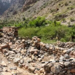 Oman Archaeological Discovery: Oman: What began as road construction reveals 3,000-year-old graves and rare Iron Age burial rituals | World News-Breaking News, Latest Updates