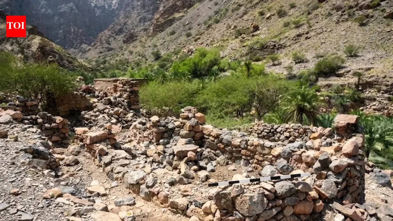 Oman Archaeological Discovery: Oman: What began as road construction reveals 3,000-year-old graves and rare Iron Age burial rituals | World News-Breaking News, Latest Updates