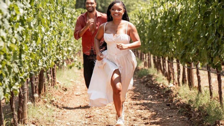 A Sunny but Tepid Romantic Comedy – Celebrity & Entertainment News