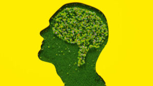 AI on the couch: Anthropic gives Claude 20 hours of psychiatry – Latest Technology News & Trends