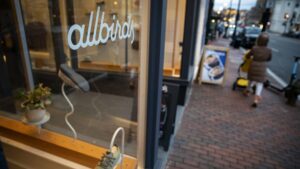 Allbirds pivots from shoes to AI, stock explodes more than 300%-Breaking News, Latest Updates