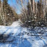 As more copper wire thefts knock out service, some point fingers at scrap yards – New Brunswick-Breaking News, Latest Updates