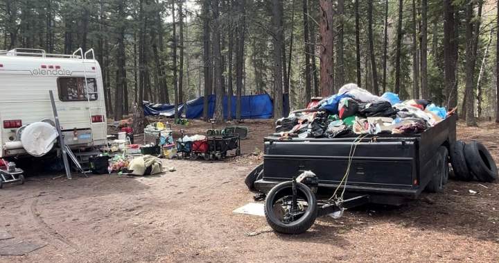 Growing squatter encampment above Peachland prompts serious safety concerns-Breaking News, Latest Updates