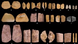 Ice Age dice show early Native Americans may have understood probability – Latest Technology News & Trends