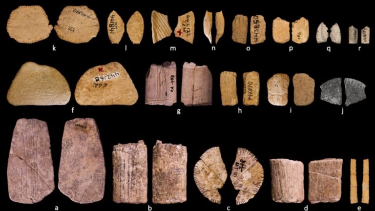 Ice Age dice show early Native Americans may have understood probability – Latest Technology News & Trends