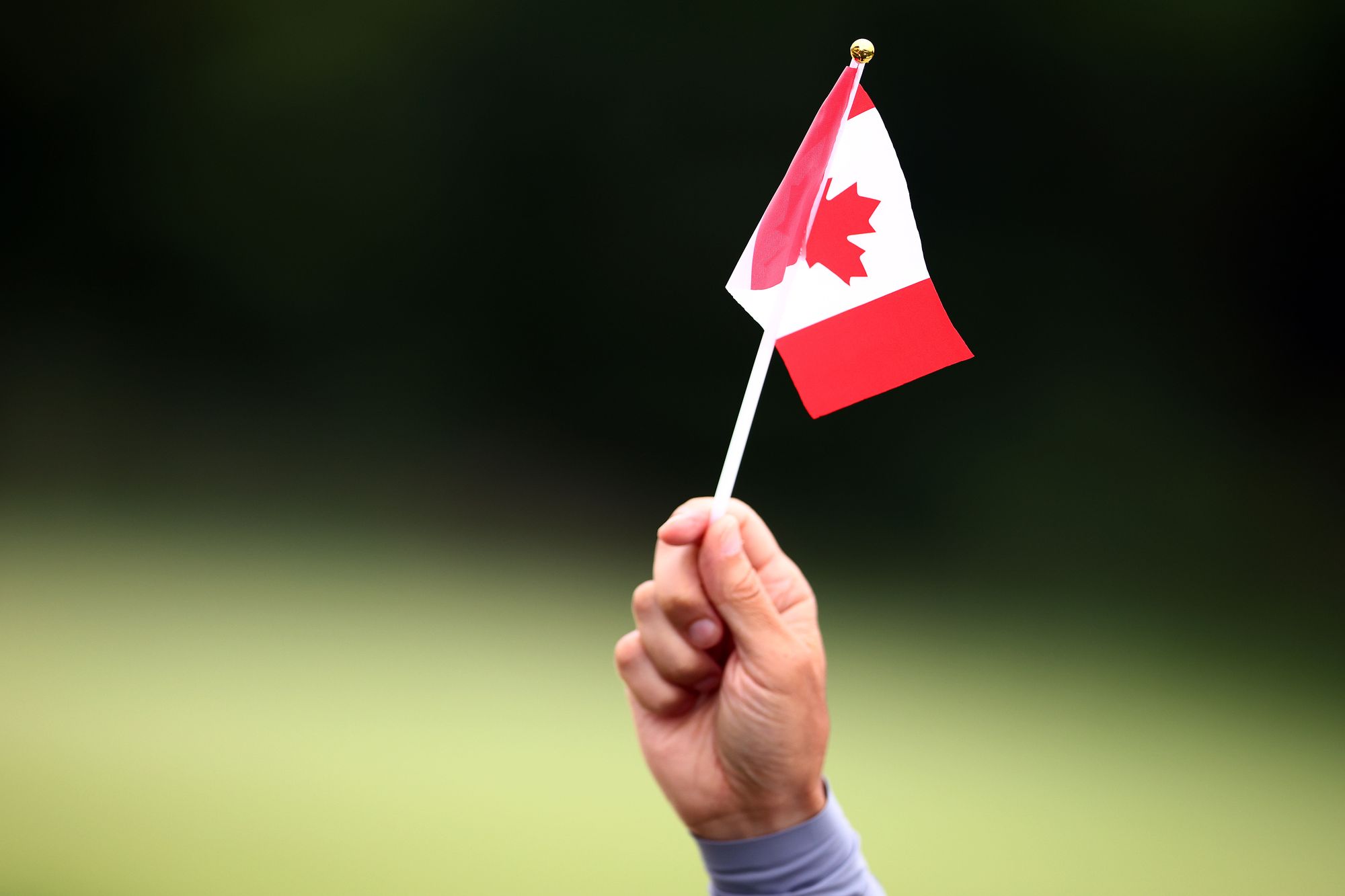A Canadian archivist said there has been a 3,000 percent increase in records requests - mainly coming from Americans