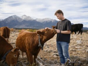 Peter Thiel’s big bet on solar-powered cow collars – Latest Technology News & Trends