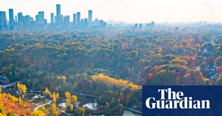Row over ‘virtual gated community’ AI surveillance plan in Toronto neighbourhood | Toronto – Latest Technology News & Trends