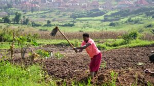 Rwanda tries to protect farmland in Africa’s most densely populated nation-Breaking News, Latest Updates