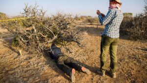 The myrrh tree, key to luxury perfumes and African incomes, is threatened by drought-Breaking News, Latest Updates