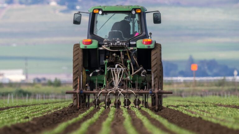 Why a super El Niño event poses fresh risks to food costs – Business News, Markets & Economy