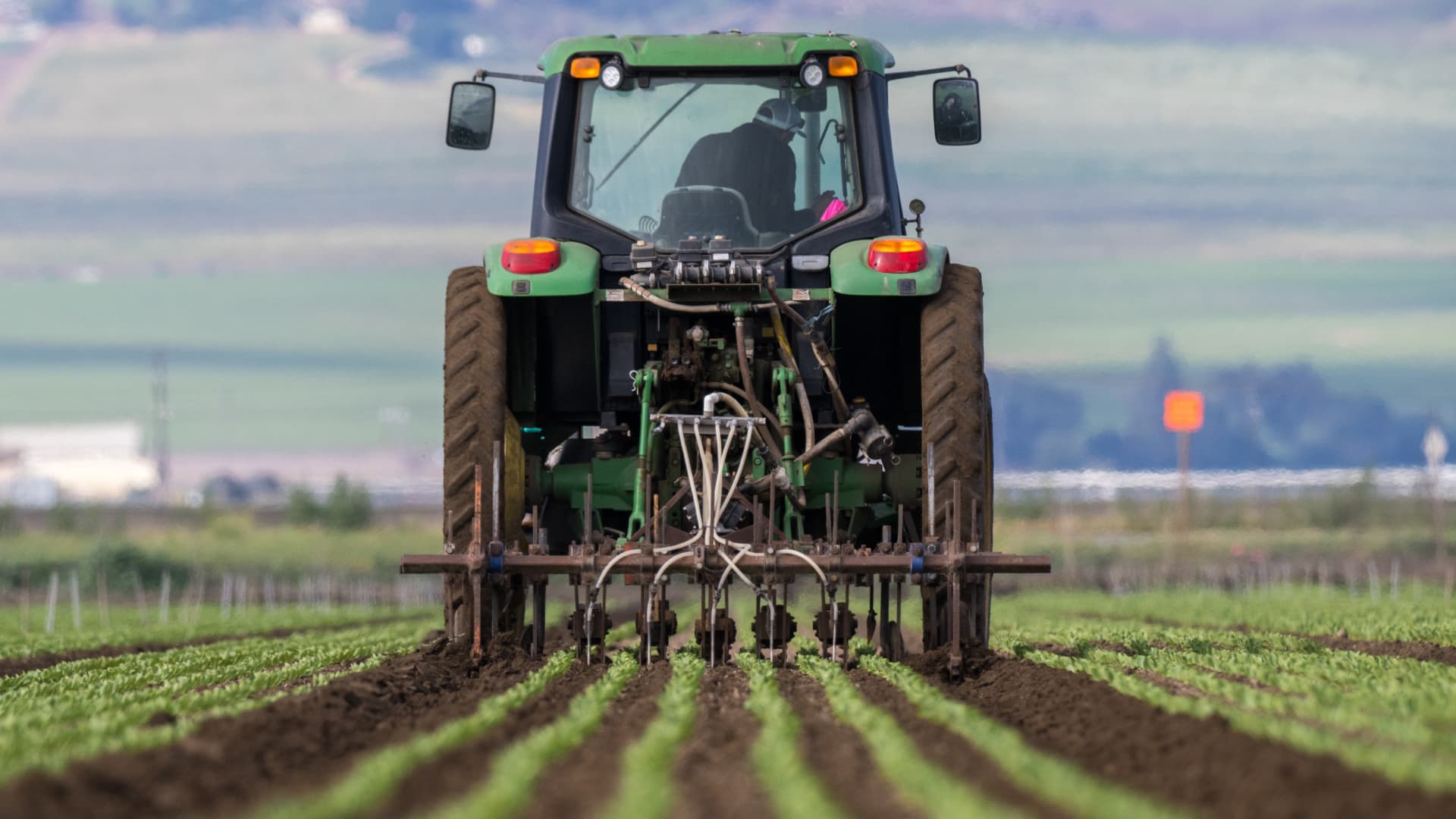 Why a super El Niño event poses fresh risks to food costs – Business News, Markets & Economy