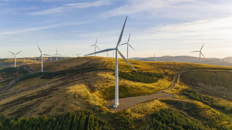 Wind power is not the harmless energy source liberals said it was — RT World News-Breaking News, Latest Updates