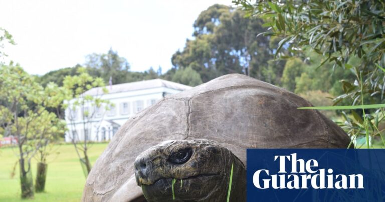 World’s oldest tortoise caught in viral crypto death scam | St Helena – Latest Technology News & Trends
